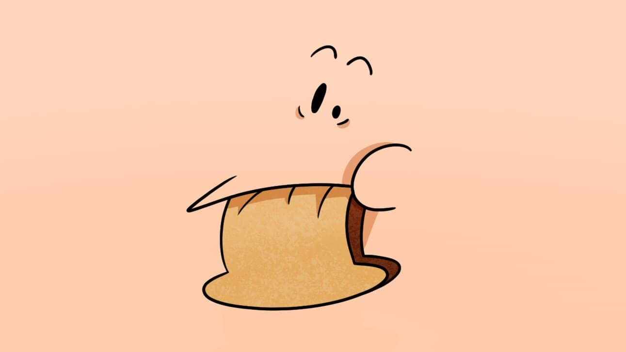 andotoast